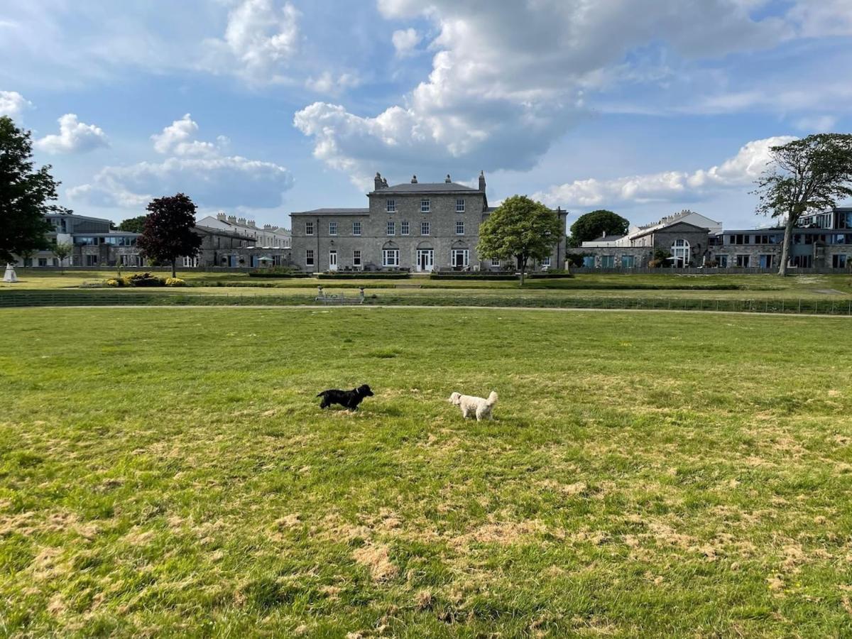 3 Bed- The Pavilion By Pureserviced Plymouth Exterior photo
